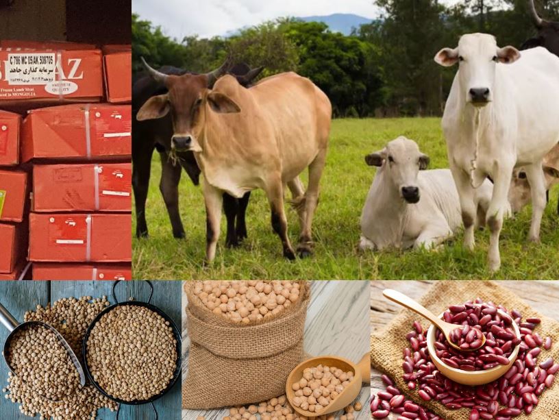 تمدید دومین فراخوان های خرید عدس، نخود، لوبیا قرمز و گوشت منجمد گوساله